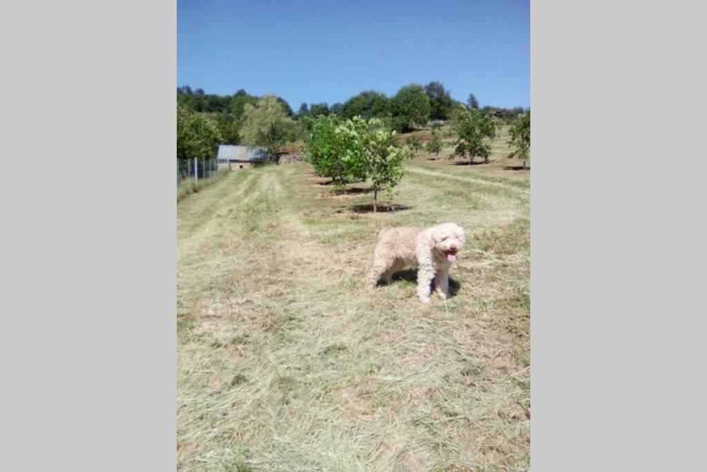 Villa La Truffiere Castelnau-de-Mandailles Esterno foto